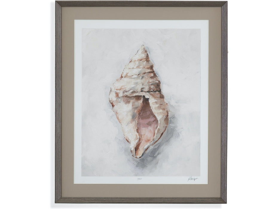 White Shell Study