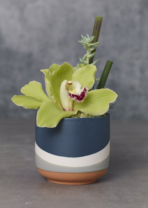 Colorway Vase - Small
