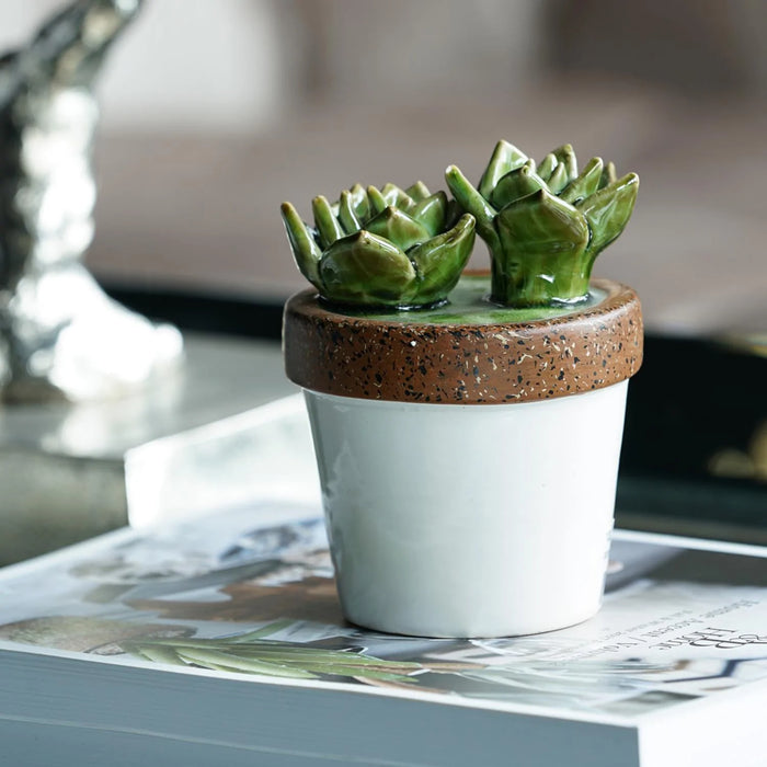 Ceramic Succulent Decorate