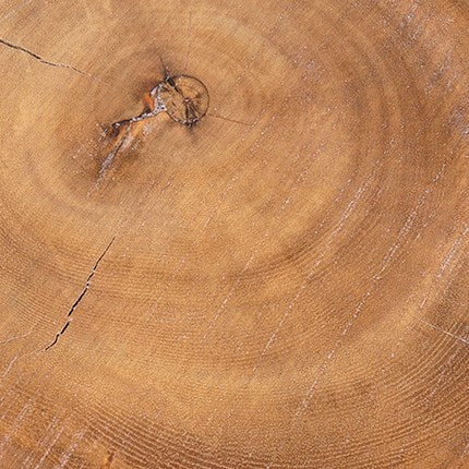 Round Wooden Teak Riser