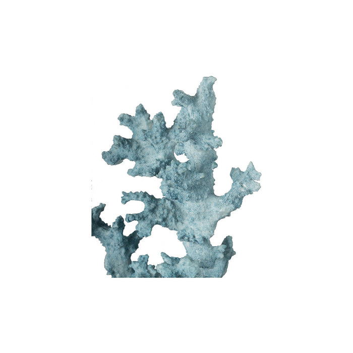 Blue Coral Decor