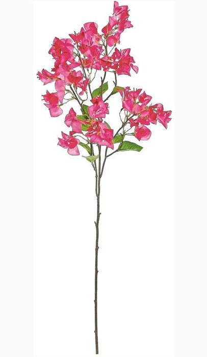Bougainvillea Spray