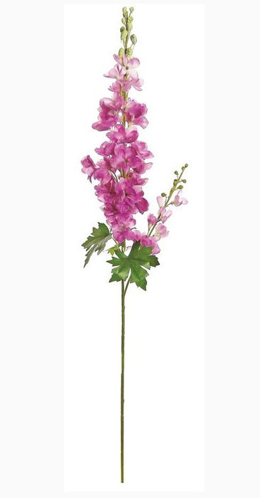 Garden Delphinium