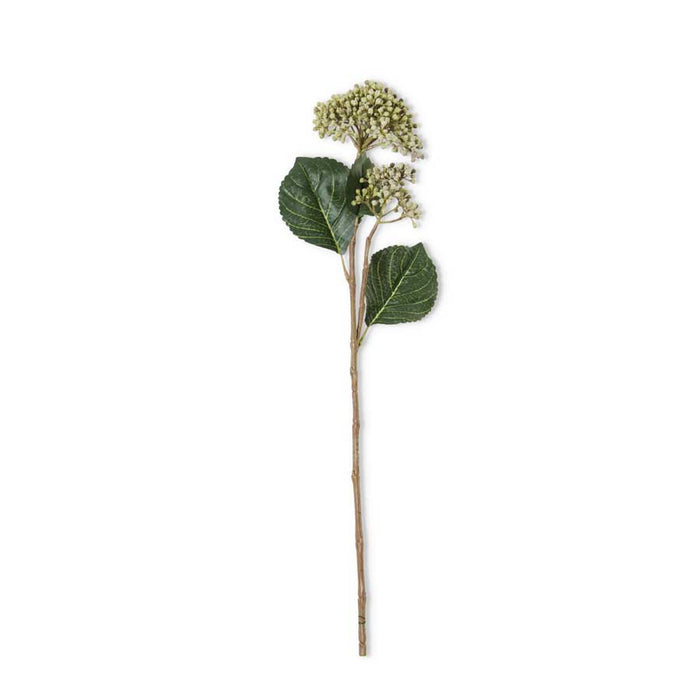24" Green Hydrangea Buds Stem