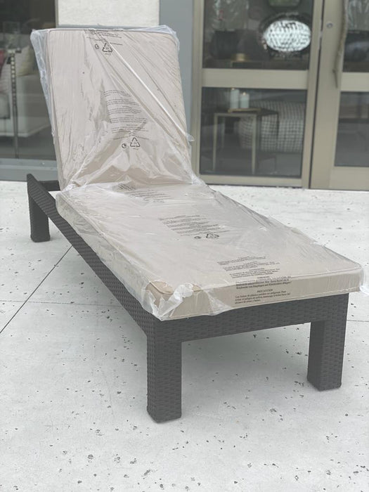 WAO-257L Lounger w/Cushion