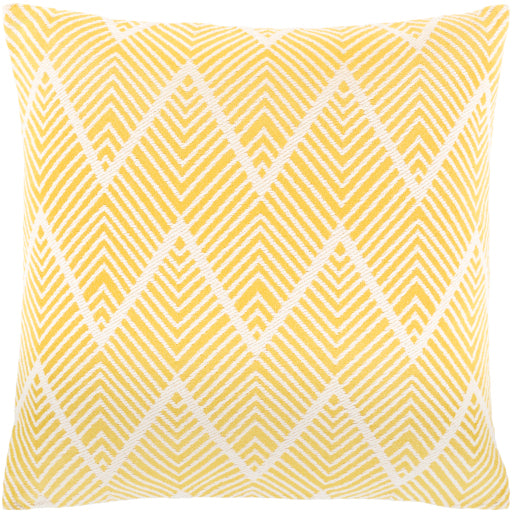 Kanga Pillow