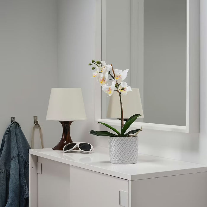 Orchid Potted Plant