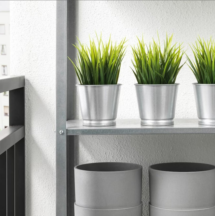 Potted Grass Plant