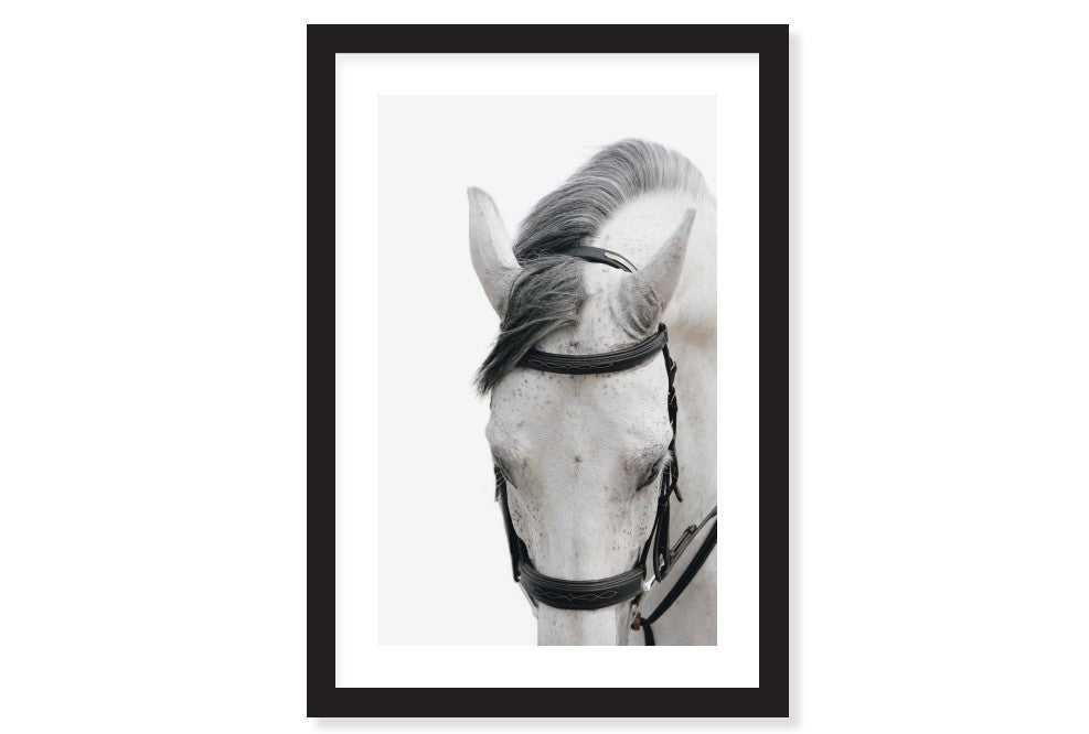 White Horses Framed Acrylic Art — BDC Living