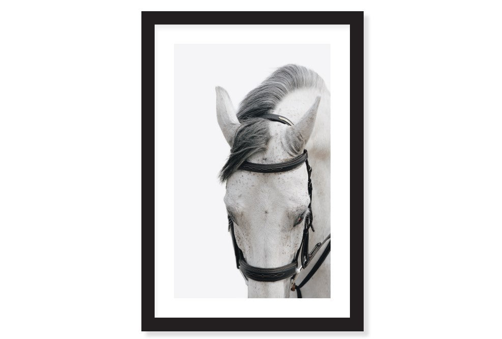 White Horses Framed Acrylic Art