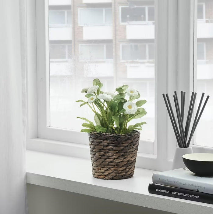 hyacinth plant pot Water Hyacinth Plant Pot — BDC Living