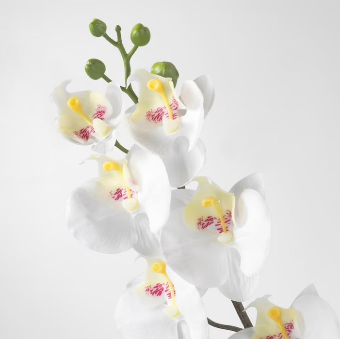 Orchid / White Artificial Flower