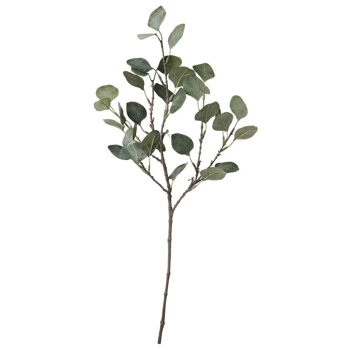 Eucalyptus Green Leaf