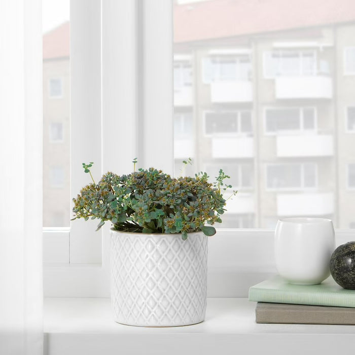 White Plant Pot