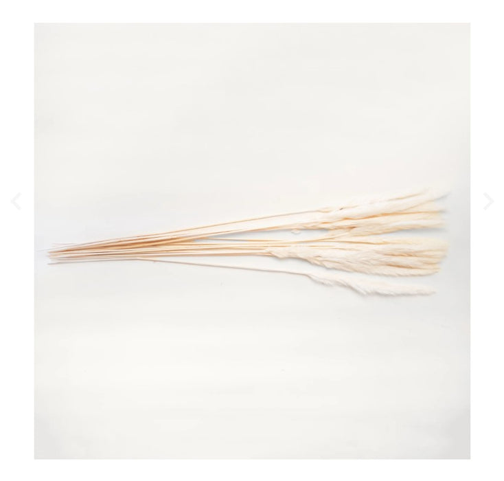 14-Piece White Pampas Bundle