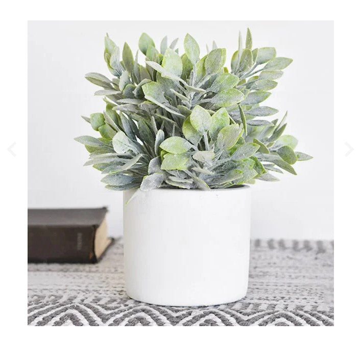 Green Bush With Pot