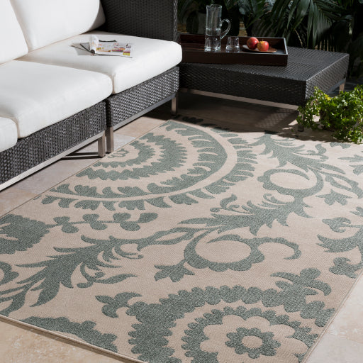 Alfresco Sage/Cream Rug