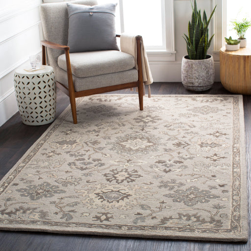 Caesar Taupe Area Rug