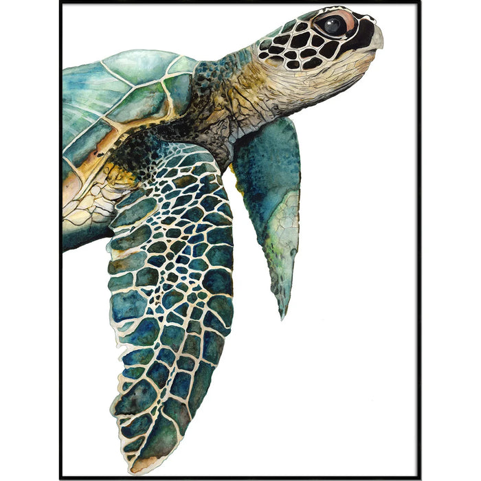 Great Sea Turtle Art