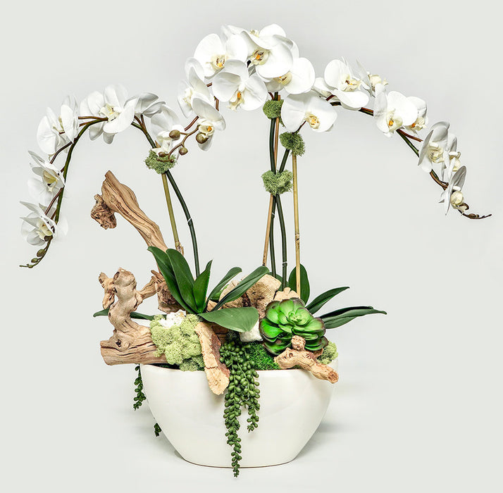 Orchids / Crystal In White Oval Pot