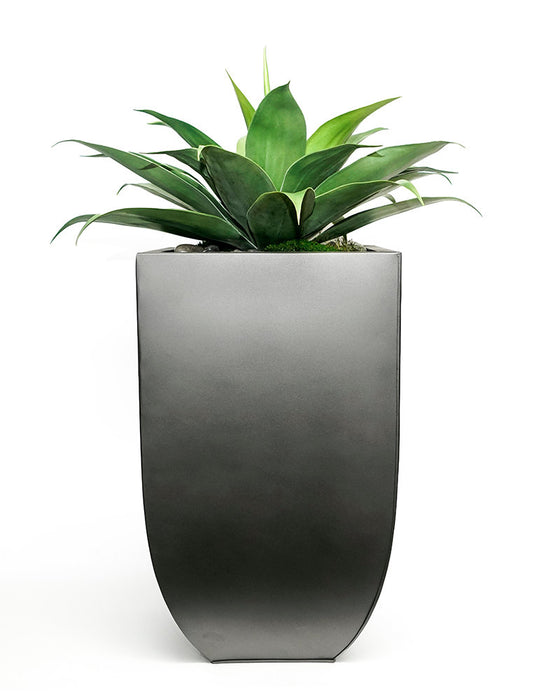 Agave In Tall Black Zinc