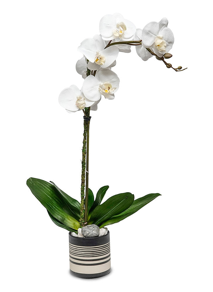 Sinclair Pot Topper Sinclair Orchid Pot — BDC Living