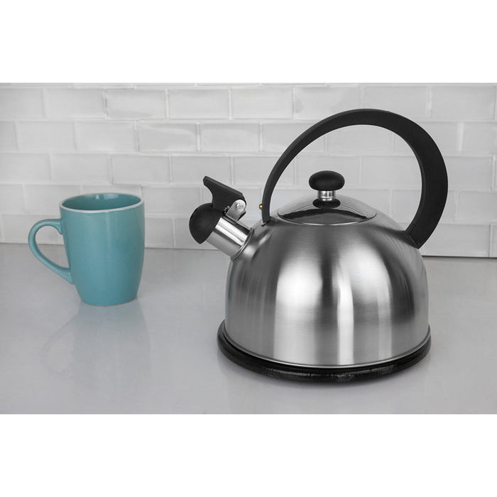 Stainless Steel Matte Kettle