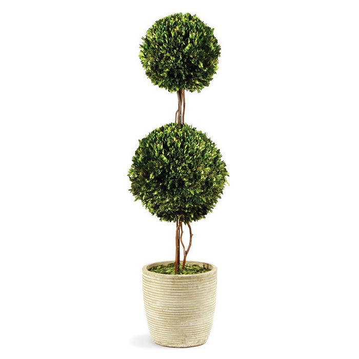 Double Sphere Topiary