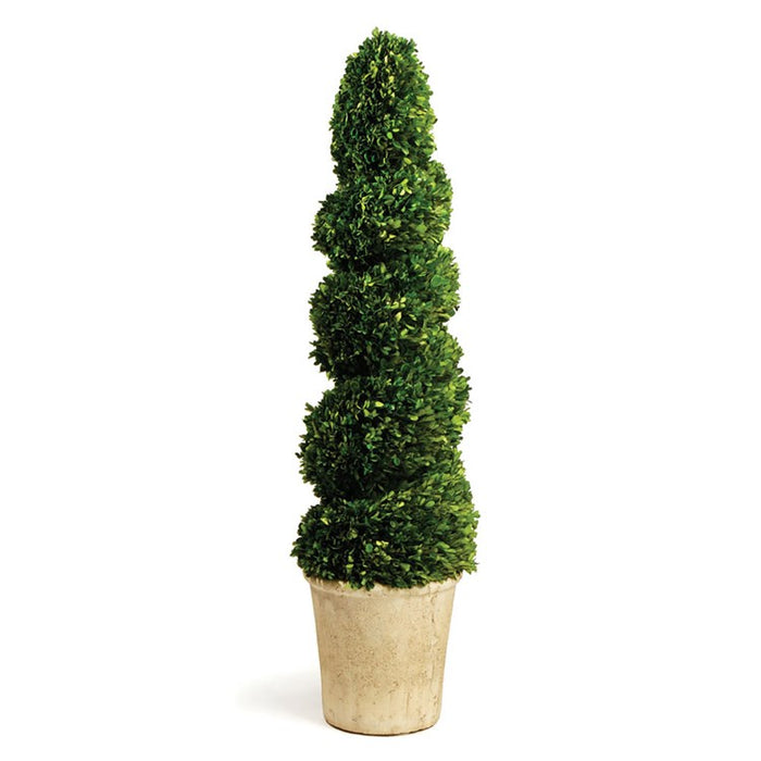 52.5" Spiral Topiary