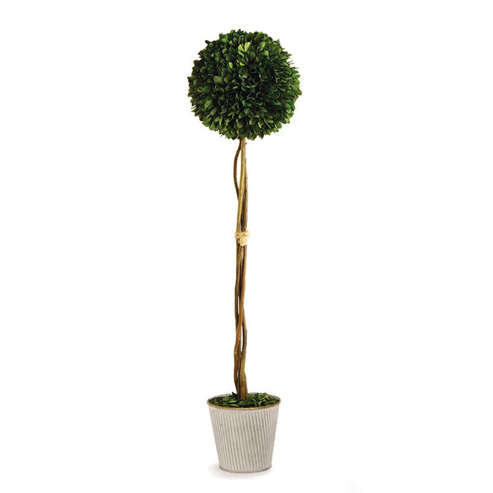 Single Ball Topiary