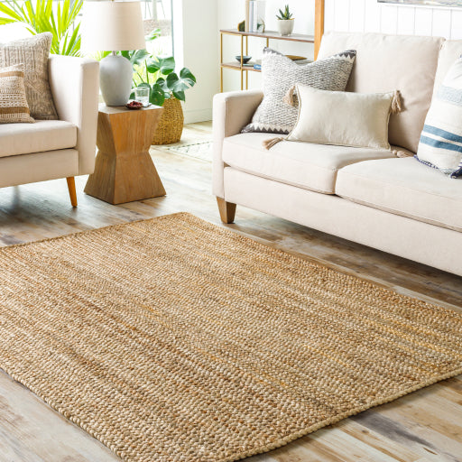 Natural Braids Tan 5x8 Rug — BDC Living