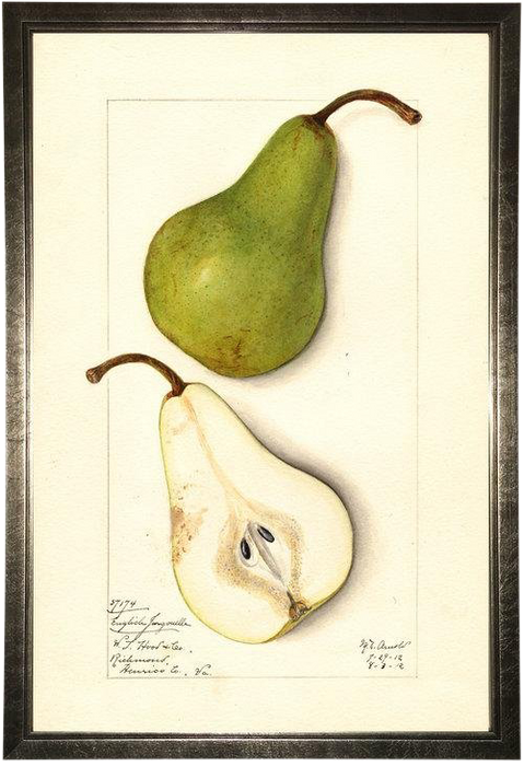 Pear In Pewter Shadowbox