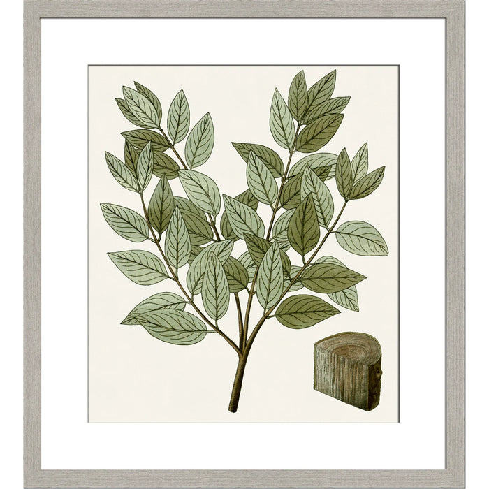 Botanical Leaf Art