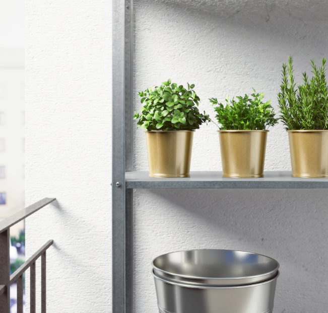 Brass Plant Pot