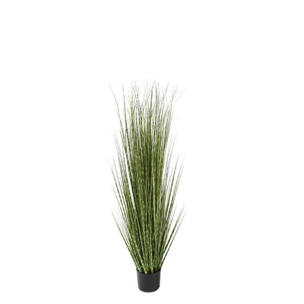 6' Potted Spotted Grass