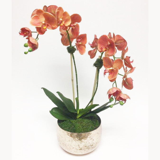 Double Orchid In Bowl - Coral